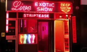 The Sex Work Fantasy: Julie Bindel
